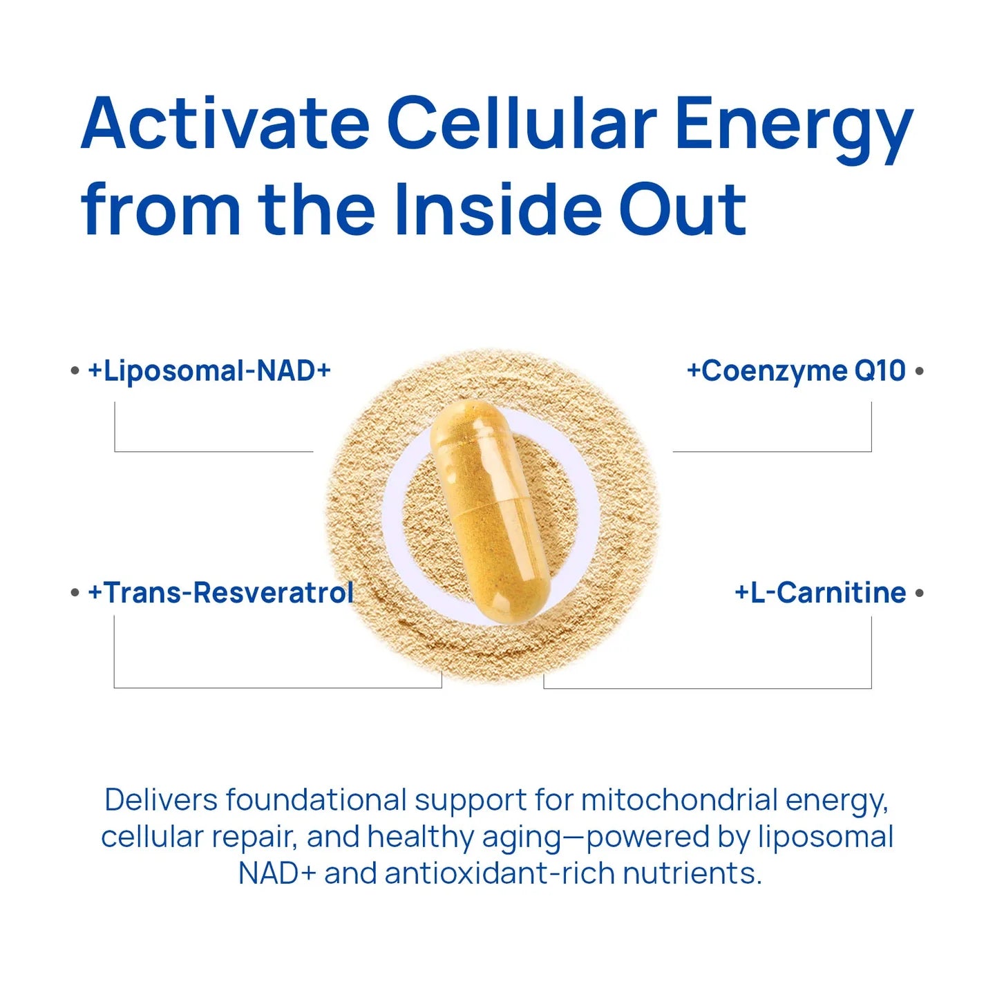 Vantique NAD+ Supplement for Men