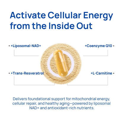 Vantique NAD+ Supplement for Men