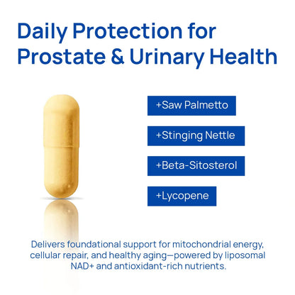 Vantique NAD+ Supplement for Men